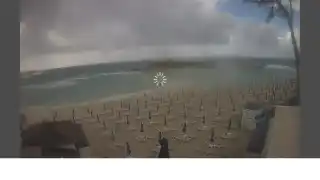 Thumbnail May 4, 2026 06:00 Ayia Napa Cyprus - Nissi Beach